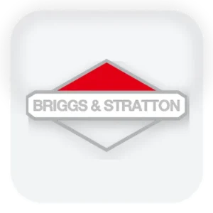 BRIGGS AND STRATTON